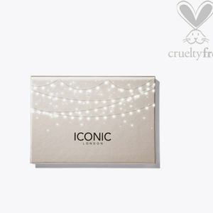 😍BLAZE CHASER FACE PALETTE